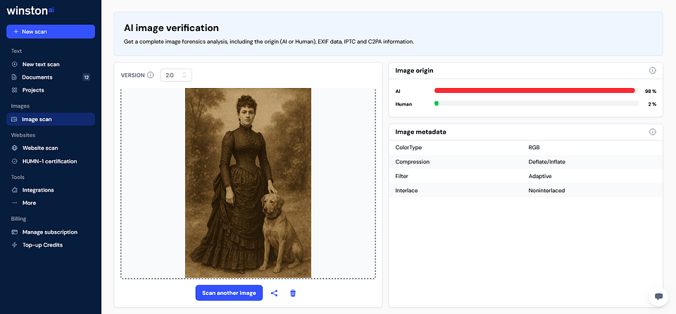 winston ai detector image