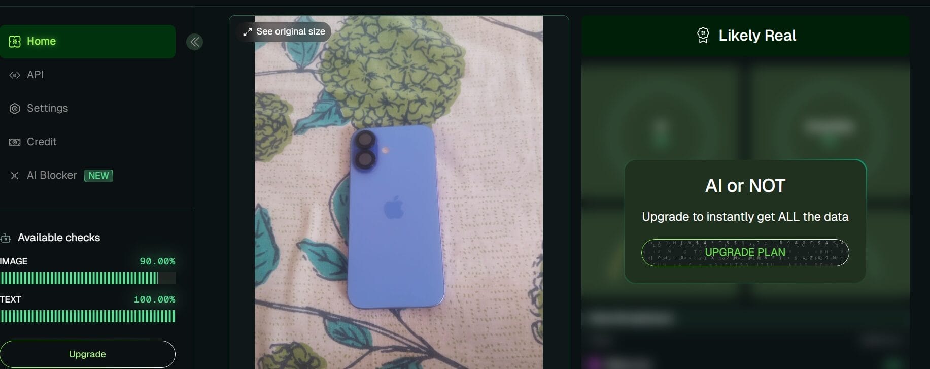 AI or Not detector - Likely Real verdict